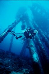 The amazing Salt Pier in Bonaire. Diver's playground!!!
... by Erich Reboucas 